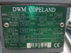 DWM DLLE-301-EWL