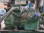 Bitzer 6GE-40Y-40P (x1)