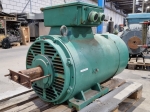 Electric motor 2EC 250M-4