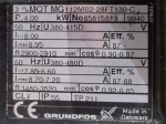 Grundfos LPD 100-125/133 A-F-A-BUBE